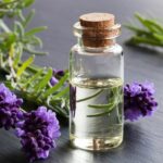 Best Quality Pure Lavender Essential Oil for Sale at Factory