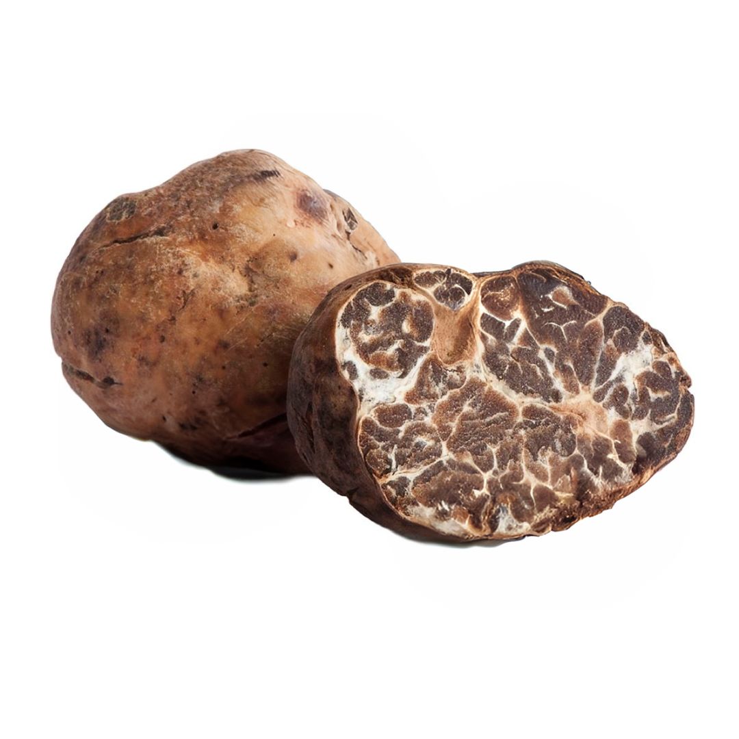 Bianchetto Truffle - Tuber Borchii Bianchetto Truffle - Tuber Borchii