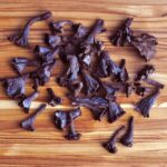 Black Trumpet Mushrooms