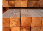 Cedar Wood Sawn Lumber