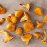 Chanterelle Mushrooms