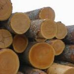 Cherry Wood Logs