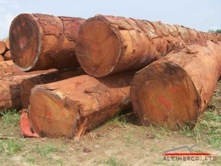 Doussie Wood Logs Doussie Wood Logs