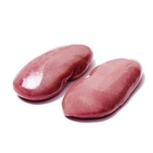 Rein de porc frais
