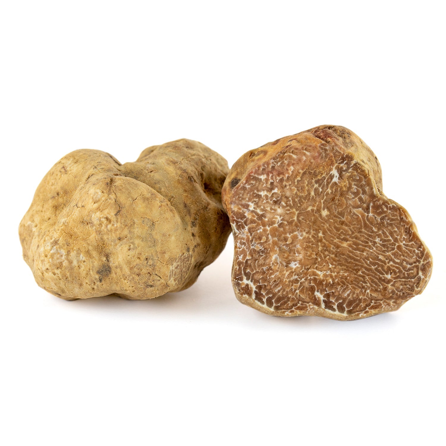 Fresh White Truffle - Tuber Magnatum Fresh White Truffle - Tuber Magnatum