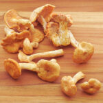 Hedgehog Mushrooms