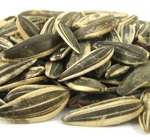 Dans Shell Israel Roasted Pas de fleur de soleil sel