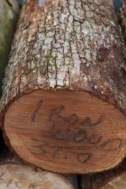 Iron Wood Logs