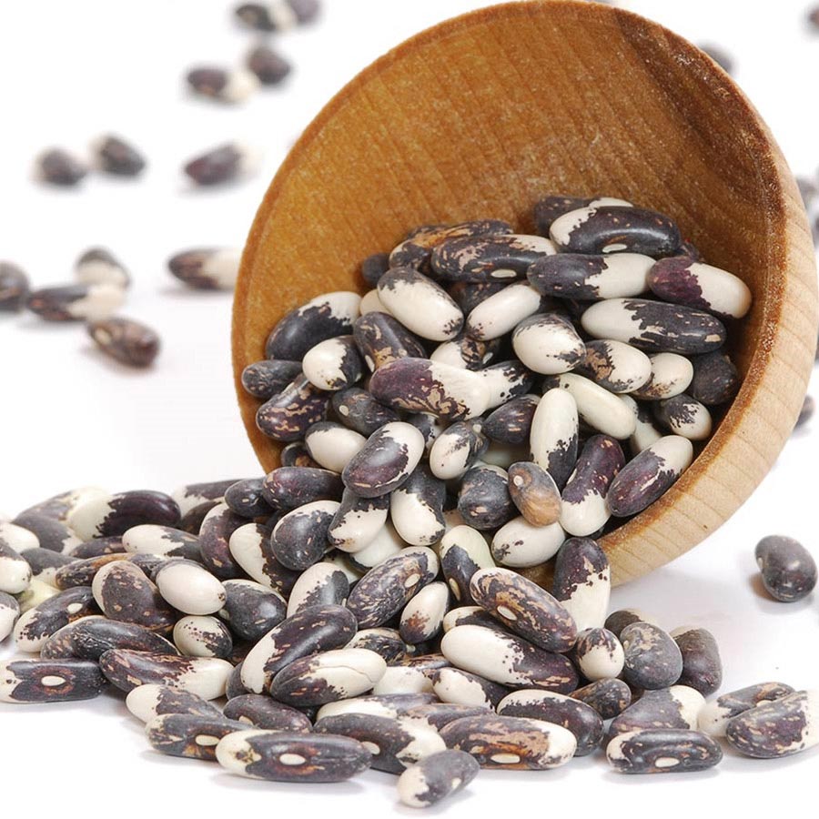 Jacob's Cattle (Trout) Beans - Dry Jacob's Cattle (Trout) Beans - Dry