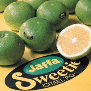 JAFFA GOLDEN POMELO
