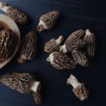 Morel Mushrooms