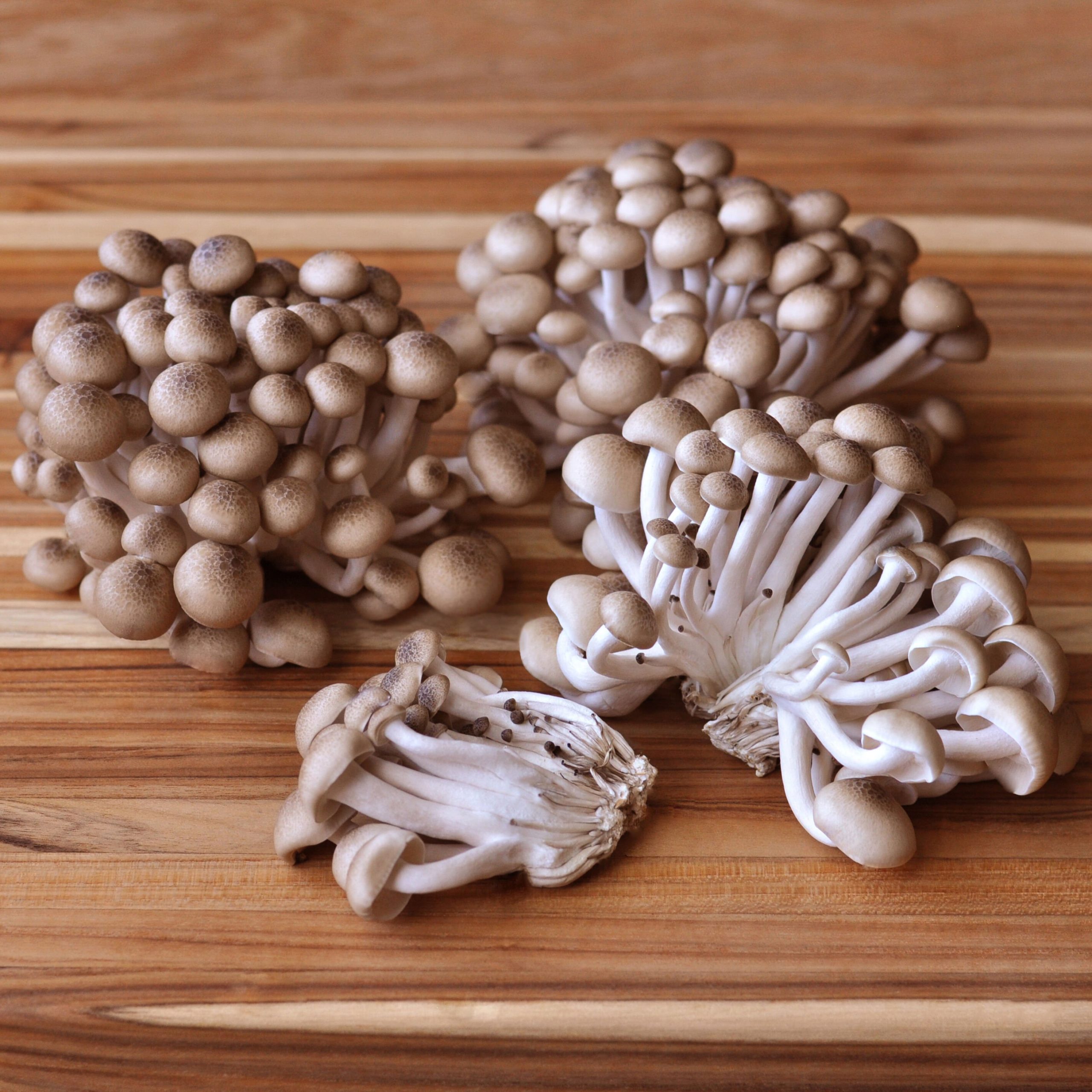 Organic Hon-Shimeji Mushrooms Organic Hon-Shimeji Mushrooms