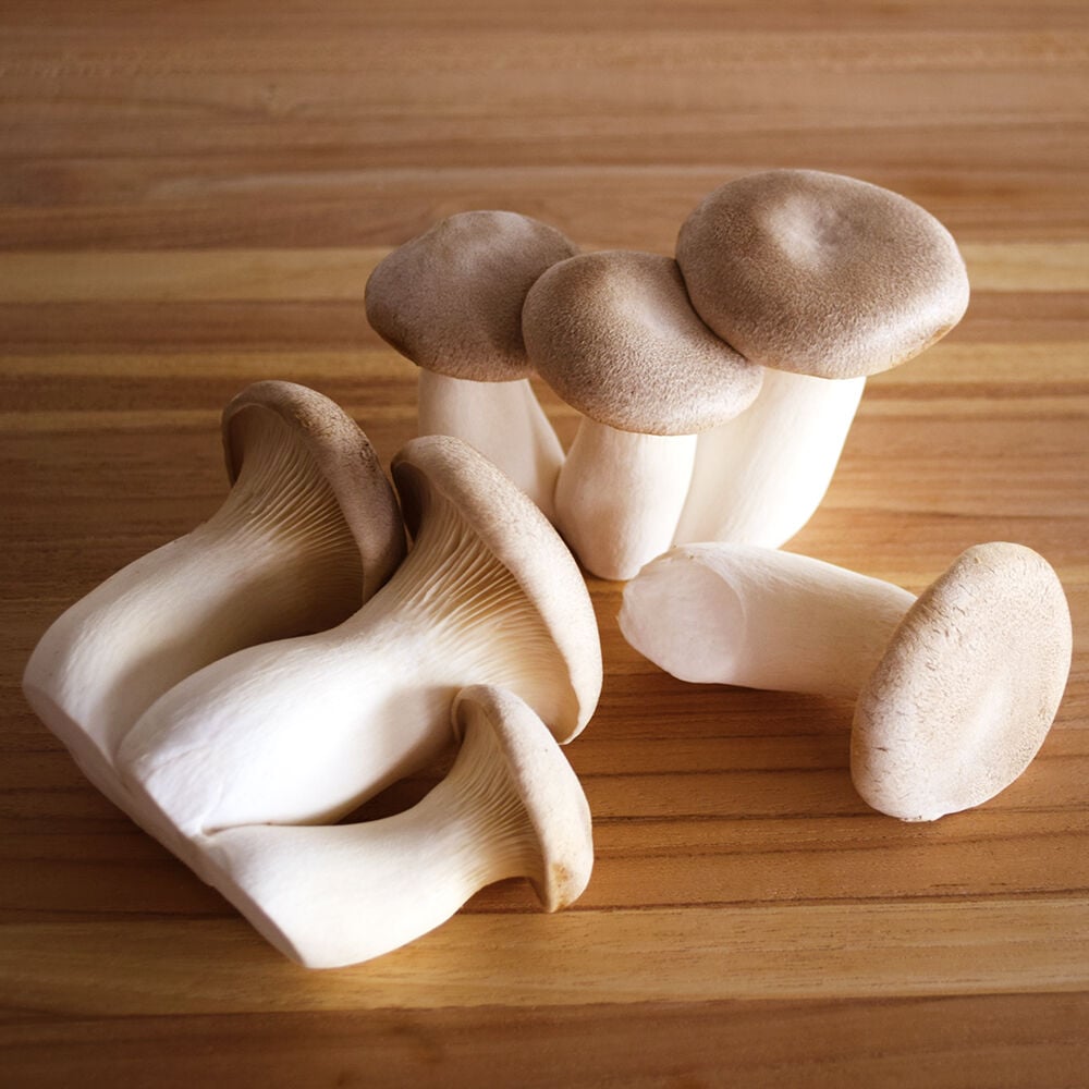 Organic King Trumpet Mushrooms Organic King Trumpet Mushrooms
