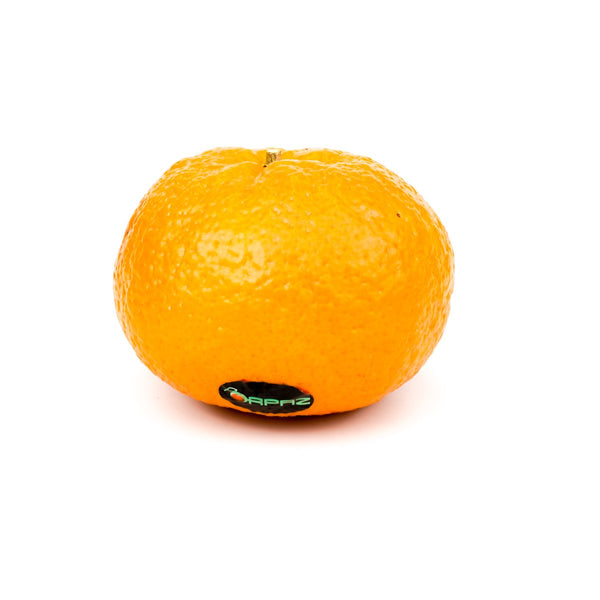 Orri Clementine Orri Clementine