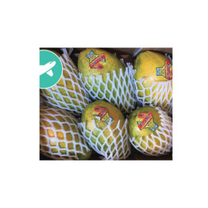 Petite papaye en boîte