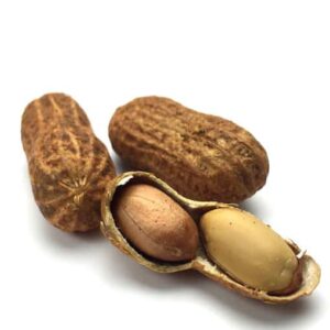 Tourteaux de barbecue frits du sud