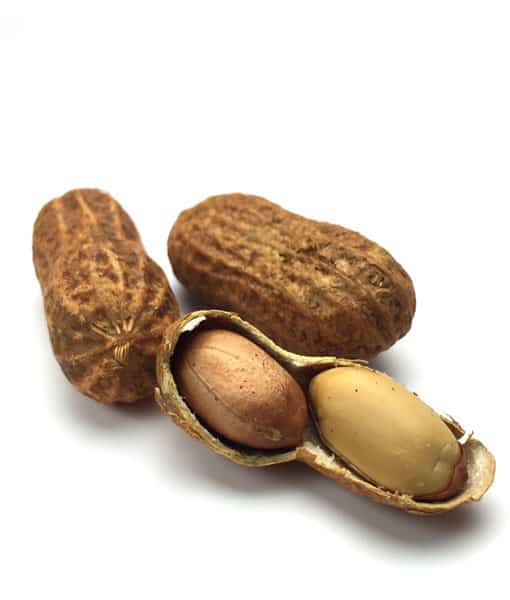 Southern Fried Hot Peanuts Southern Fried Hot Peanuts