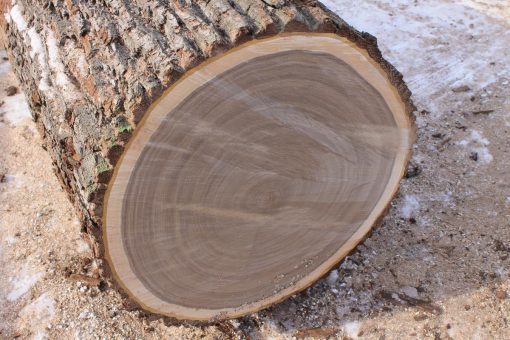 Grumes de bois de placage Grumes de bois de placage