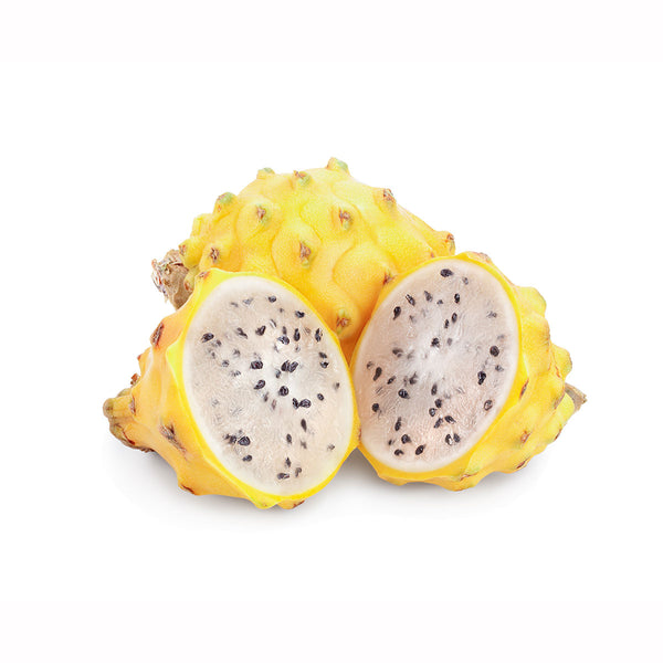 YELLOW PITAHAYA YELLOW PITAHAYA
