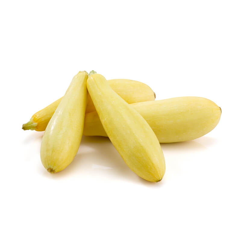 Yellow Squash Yellow Squash